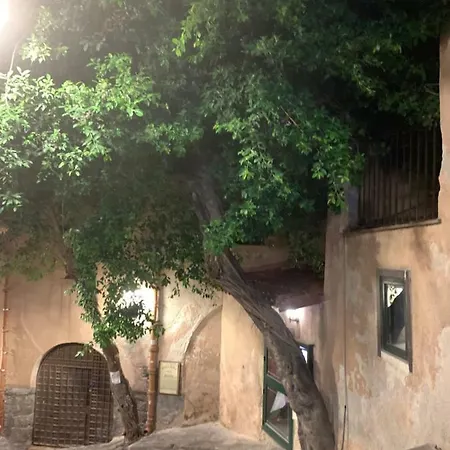 La Terrazza Lejlighed